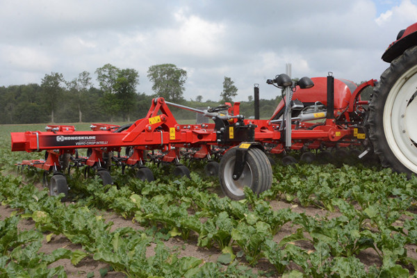 Kongskilde | Weed Control | Model Vibro Crop Intelli for sale at Coastal Tractor, California