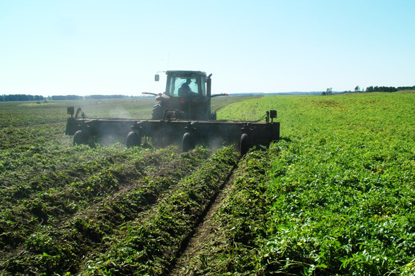 Loftness | Crop Shredders | Vegetable Shredders for sale at Coastal Tractor, California